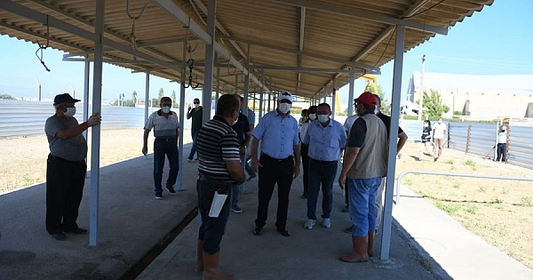 Çanakkale Belediyesi kurban satış alanı hazır