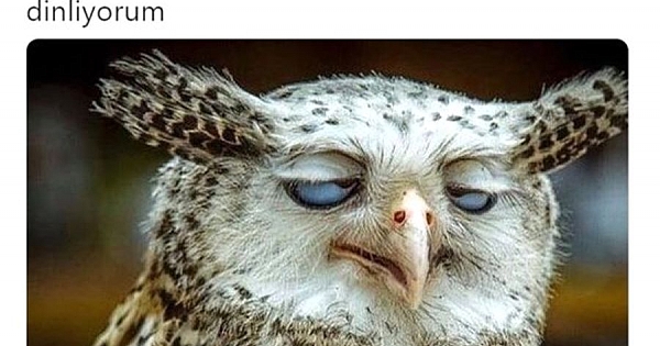 Geçtiğimiz haftanın güldüren tweetleri