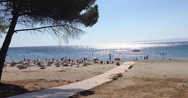 Kabatepe Orman Kampı yenileniyor