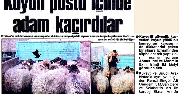 Türkiye'den Fantastik gazete haberleri