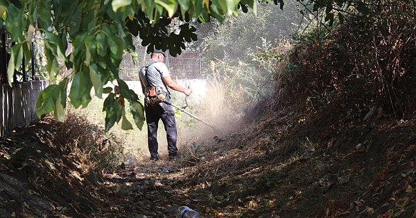 Küçükkuyu Belediyesi'nden sonbahara hazırlık