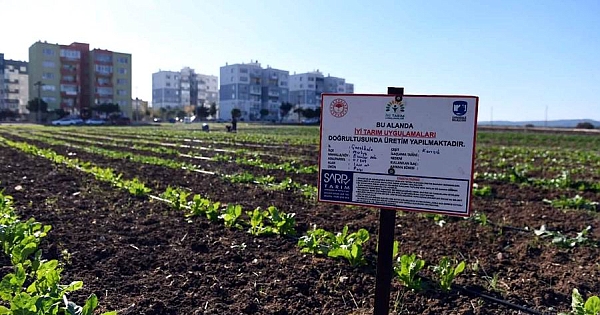 “İyi Tarım Uygulamaları”