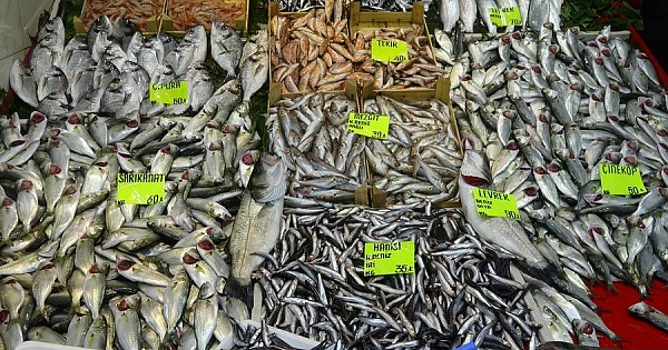 Balıkçı tezgahları hafta sonu açık olabilecek