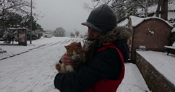 Karda aç kalan sokak hayvanlarını su ve mama bıraktılar
