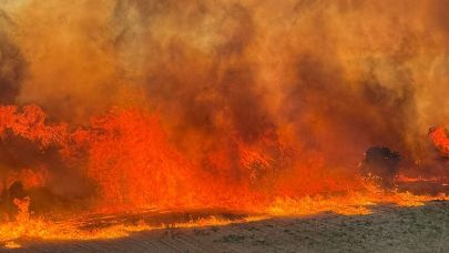 Çanakkale Güzelyalı Dardanos yangınından ürkütücü kareler