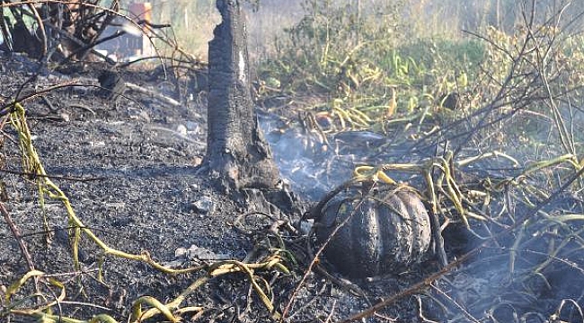 Bayramiç’te yangın