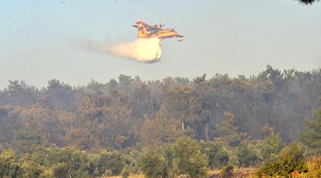 Geyikli’de orman yangını korkuttu