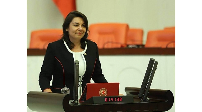 İskenderoğlu’na yeni görev