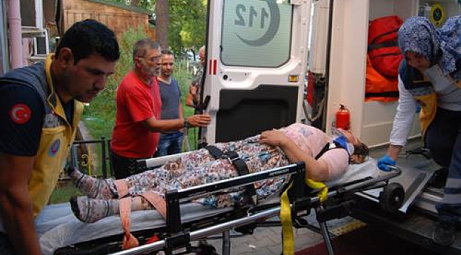 Minibüs devrildi: 12 yaralı