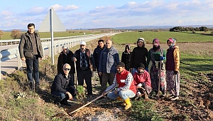 Troya yolu ağaçlandırılıyor