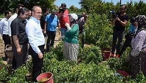 Turan’dan 14 Mayıs mesajı