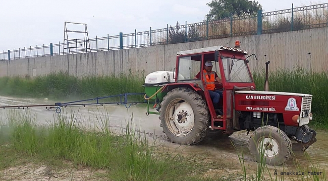 Çan’da haşerelere karşı ilaçlama