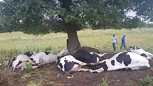 Çan'da inanılmaz olay…