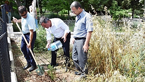 Şehitlikte çalışmalar sürüyor