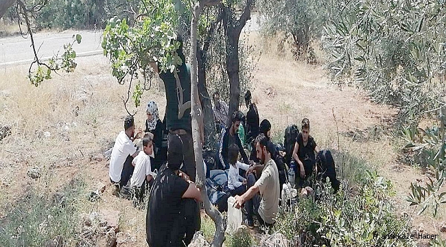 308 kaçak göçmen yakalandı