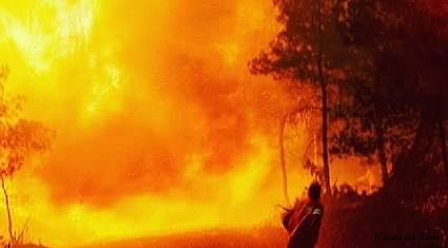 Gelibolu Yarımadası’nda korkutan yangın