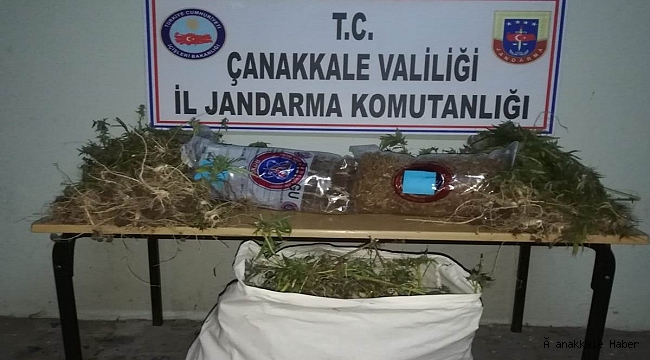 Jandarmadan uyuşturucu operasyonu