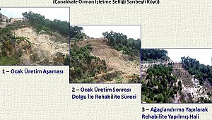 Maden sahaları ağaçlandırılarak doğaya yeniden kazandırılıyor