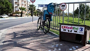 Kedi evleri kuruluyor
