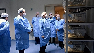 Rektör Murat laboratuvarları inceledi