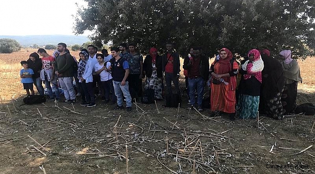 Ayvacık&#039;ta 39 kaçak göçmen yakalandı