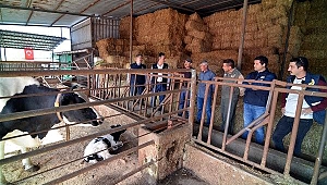 Bakanlık'tan Kızık ailesine destek