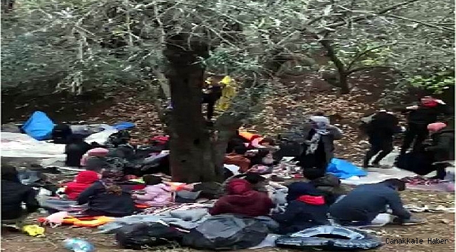 Jandarmadan kaçak göçmen operasyonu