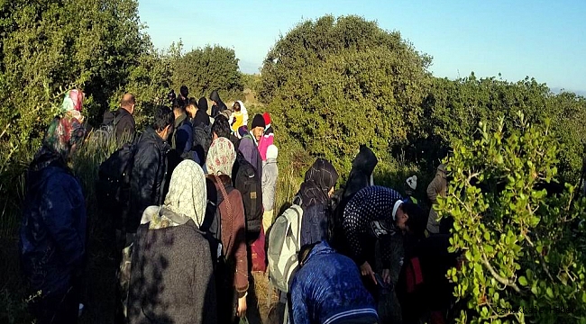 305 kaçak göçmen yakalandı