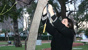 AK Parti'den örnek davranış