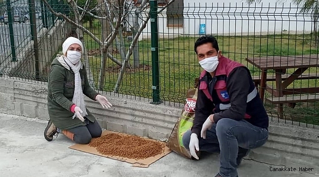 Çanakkale’de can dostları unutulmuyor