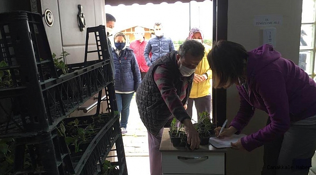 Fideler dağıtılıyor