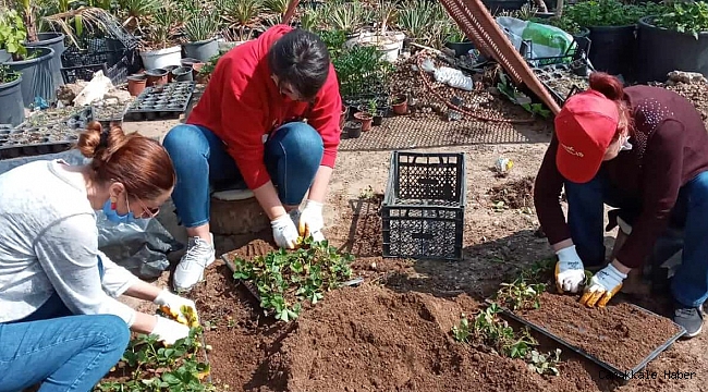 Çanakkalelilerden fide desteği