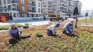Kentsel gelişim bölgesinde hummalı çalışma