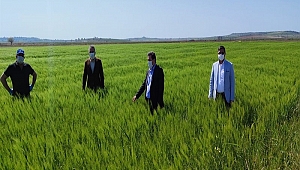 Tavlı; “Çiftçilerimizin her zaman yanındayız”