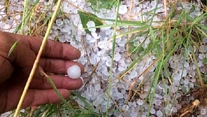 Bayramiç’te tarım arazileri zarar gördü