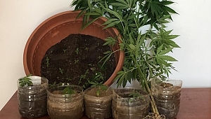 Evreşe’de uyuşturucu operasyonu