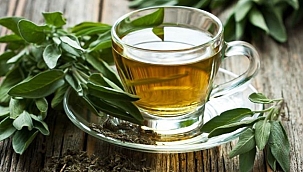 Adaçayı İhracatında 2020 hedefi 550 ton