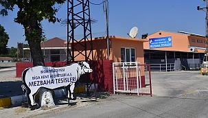 Biga'da kurban kesim başvuruları başladı