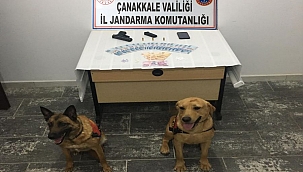 Biga'da silah kaçakçılığı ve uyuşturucu operasyonu