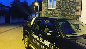 Gökçeada’da haşerelerle mücadele sürüyor