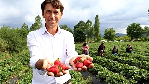 Kalkım çileğini bütün dünya tanıyacak