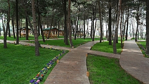 Park ve bahçelerde kenelere dikkat!