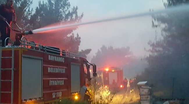 Yangının çıkış nedeni araştırılıyor