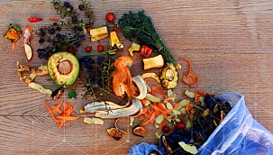 Gıda israfı 87 milyon ailenin yıllık geçim masrafına eşit