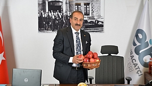 Pandemi yaş meyve sebze ve mamulleri ihracatına fren yaptıramadı