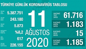 Türkiye 11Ağustos koronavirüs tablosu