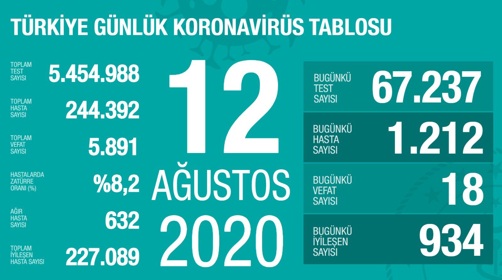 Türkiye 12 Ağustos koronavirüs tablosu
