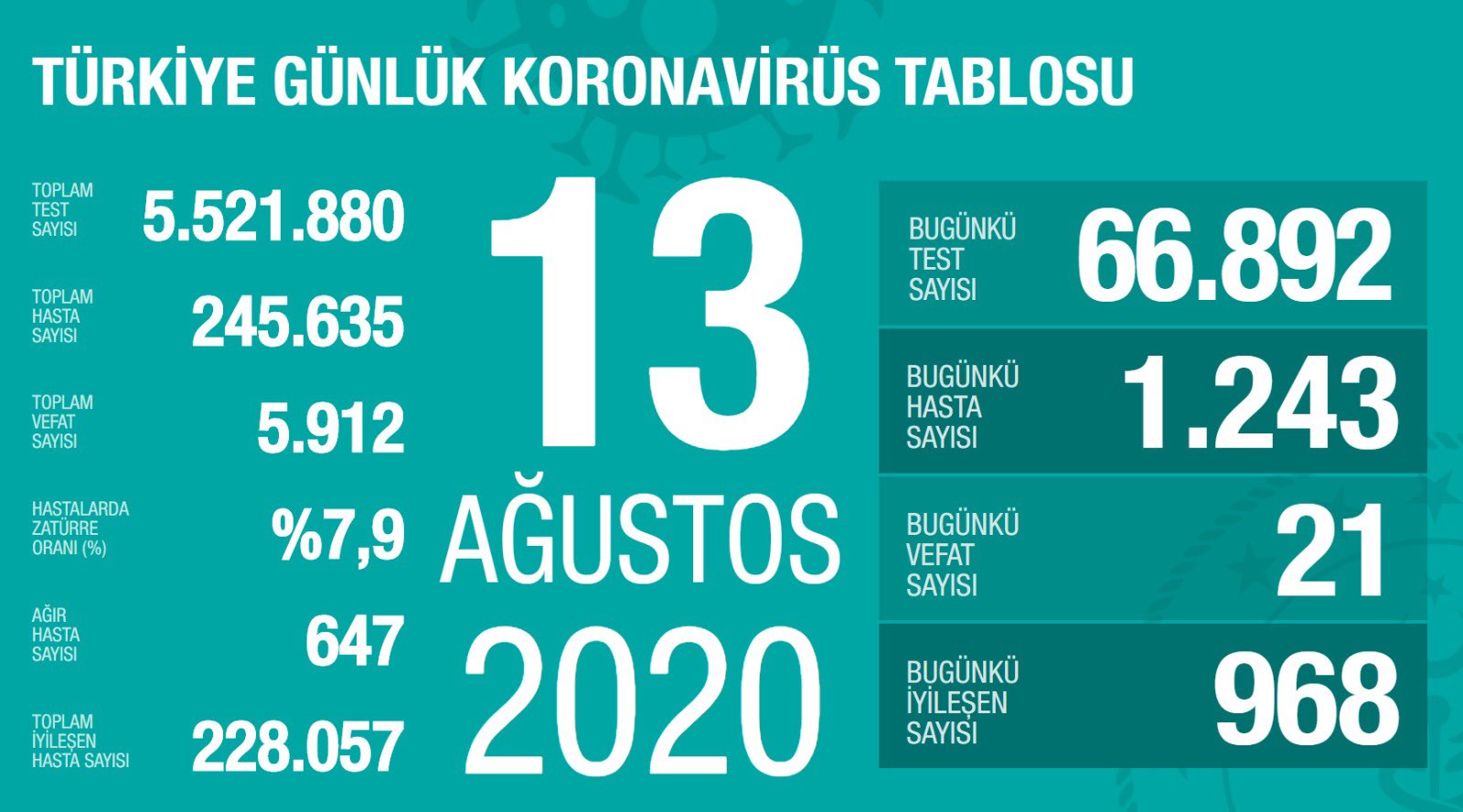 Türkiye 13 Ağustos koronavirüs tablosu
