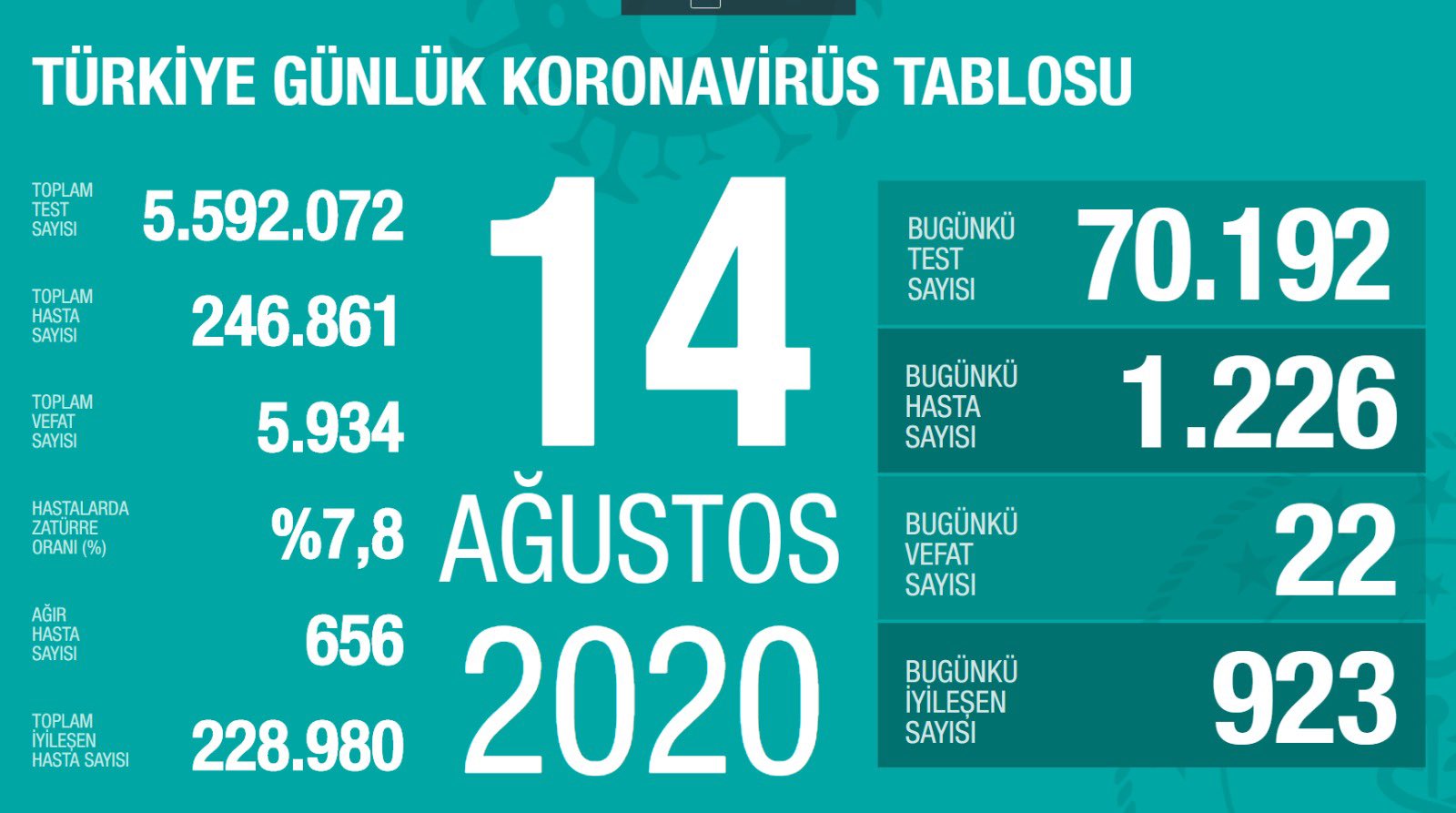 Türkiye 14 Ağustos koronavirüs tablosu
