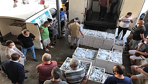 Vali Aktaş, Balık Hali’ndeki mezat programına katıldı